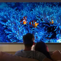 Para ogląda film z rybkami Nemo na ekranie. Niesamowita projekcja przenosi ich pod wodę.