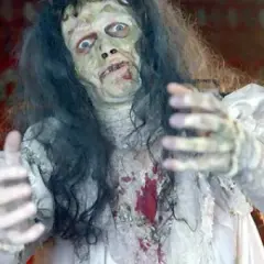 Wilczyca horror - mroczna opowieść o strachu i tajemnicach w kinie polskim