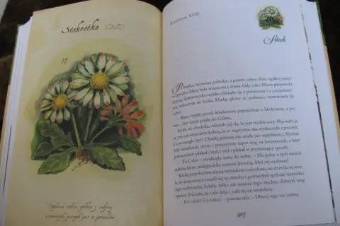 Ilustracja przedstawia stokrotki w tajemniczym ogrodzie. Obok tekst opowiadający o poranku i hałasach.