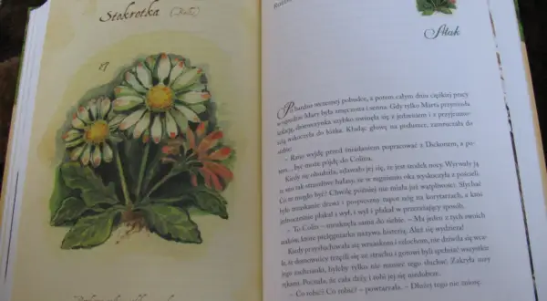 Ilustracja przedstawia stokrotki w tajemniczym ogrodzie. Obok tekst opowiadający o poranku i hałasach.