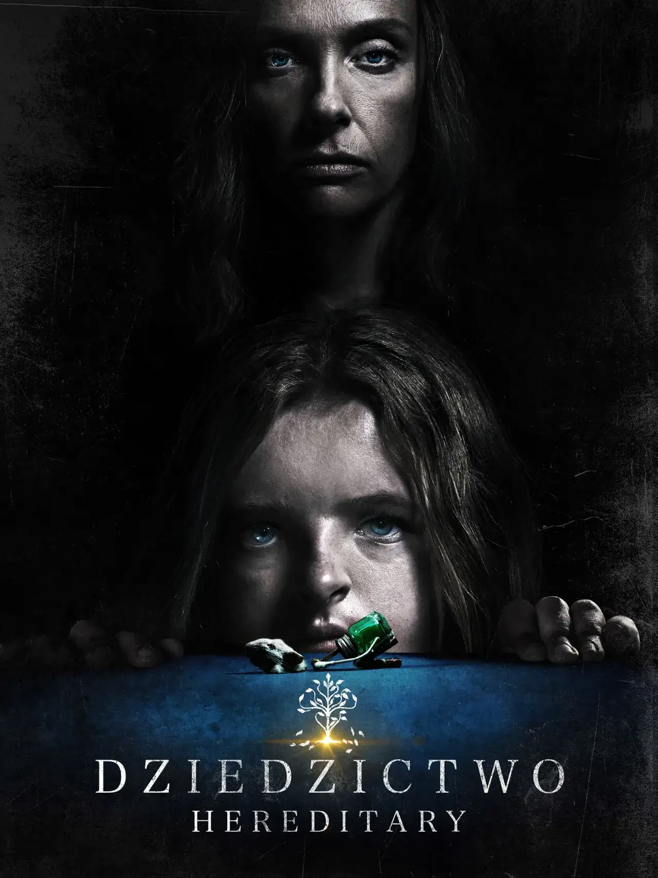 Zdjęcie Dziedzictwo horror - analiza filmu, który zszokował widzów