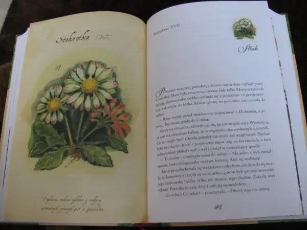 Ilustracja przedstawia stokrotki w tajemniczym ogrodzie. Obok tekst opowiadający o poranku i hałasach.
